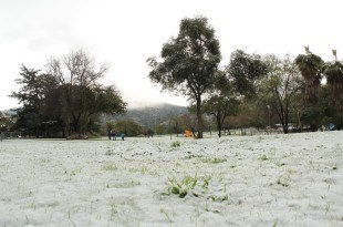 שלג בכרמיאל, חורף 2015. צילום ארכיון