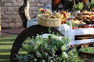 אחוזת דוברובין 2019-01