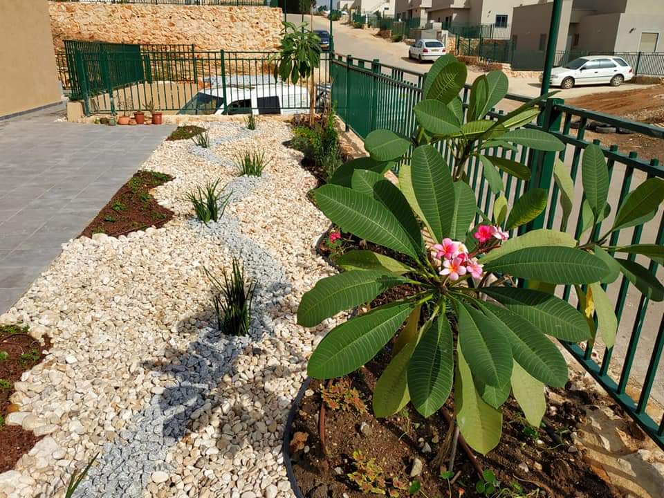 שקד ממן שקדיה אבן עץ ומים עיצוב גינות, גינון בכרמיאל גינה לדוגמה