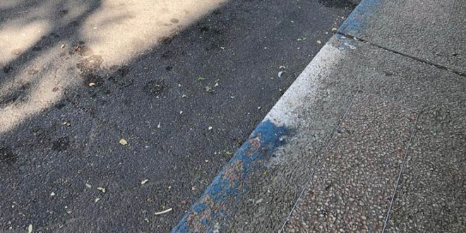 חנייה פסים כחול לבן צילום אילוסטרציה