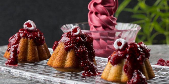 עוגות יוגורט אישיות עם פירות יער לראש השנה צילום איתיאל ציון