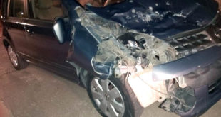 רכב נזקים אחרי התנגשות עם פרה כביש משגב כרמיאל