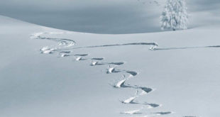 שלג צילום אילוסטרציה PixaBay