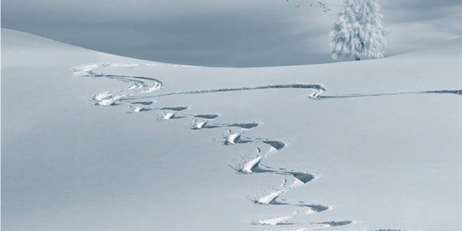 שלג צילום אילוסטרציה PixaBay