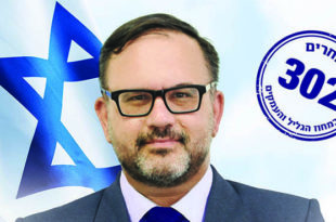 דויד הרמלין פריימריז תמונת שער