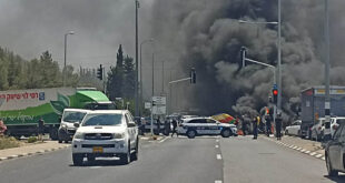 הפגנת מחאה כביש 85 צילום מירב סרמילי