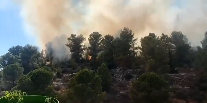 שריפת חורש בכרמיאל צילום ליר אייזנברג זימין