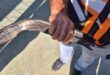 תיעוד אחרי האזעקות: שבר מיירט נפל במגרש טניס