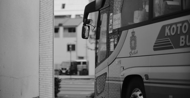 הזמנת אוטובוס לאילת: כל מה שצריך לדעת על הסעות לאילת